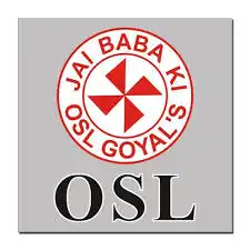 OSL Group, Developer Logo